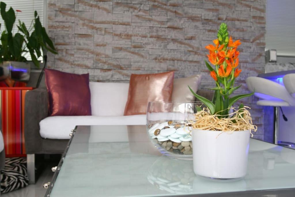Nice Life - Luxury Apartment In The Old Town. Bratislava Dış mekan fotoğraf